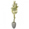 SILBER ghiveci de flori SILBER Set